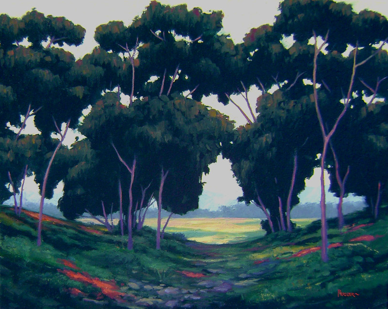 California Eucalyptus