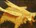 The Golden Fleece Dream