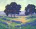 Oaks in an Ojai Meadow