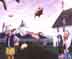 When Pigs Fly